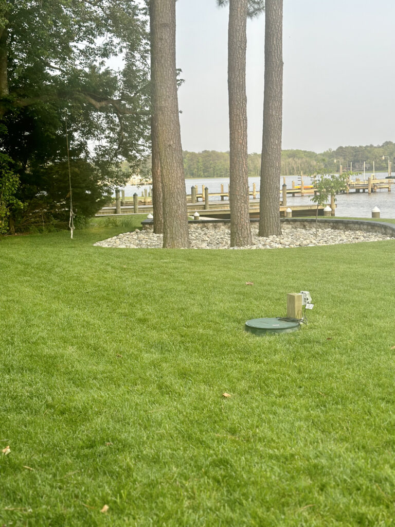 grass and trees on the bay